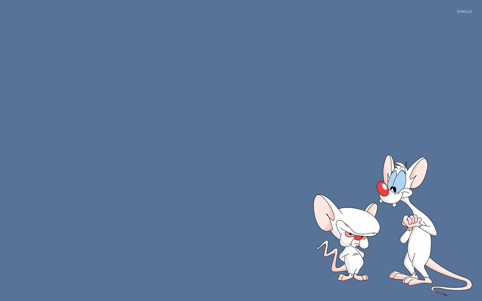 Pinky and brain pinky and the brain 51294 1920x1200